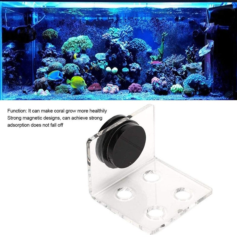 TOPINCN Aquarium Fish Stand, Frag Rack Acrylic Magnetic Frag Holder Support SPS Button Bracket Base for Fish Aquarium(4 Hole ) - Image 4